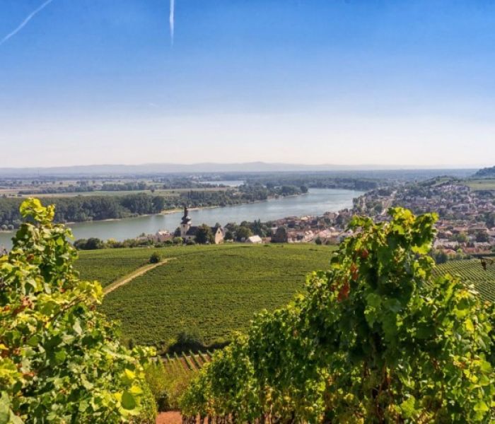 Blick auf Nierstein (Foto: Rheinhessen-Touristik GmbH. Georg M&uuml;ller)